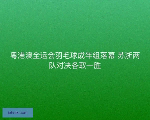 粤港澳全运会羽毛球成年组落幕 苏浙两队对决各取一胜