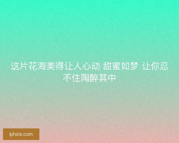 这片花海美得让人心动 甜蜜如梦 让你忍不住陶醉其中