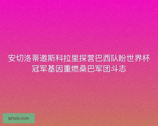 安切洛蒂邀斯科拉里探营巴西队盼世界杯冠军基因重燃桑巴军团斗志